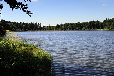 Pixhaier Teich (2) Buntenbock Oberharzer Wasserwirtschaft Bilder